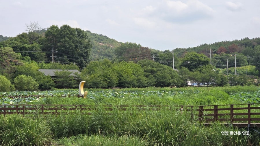 못안못 사진 2