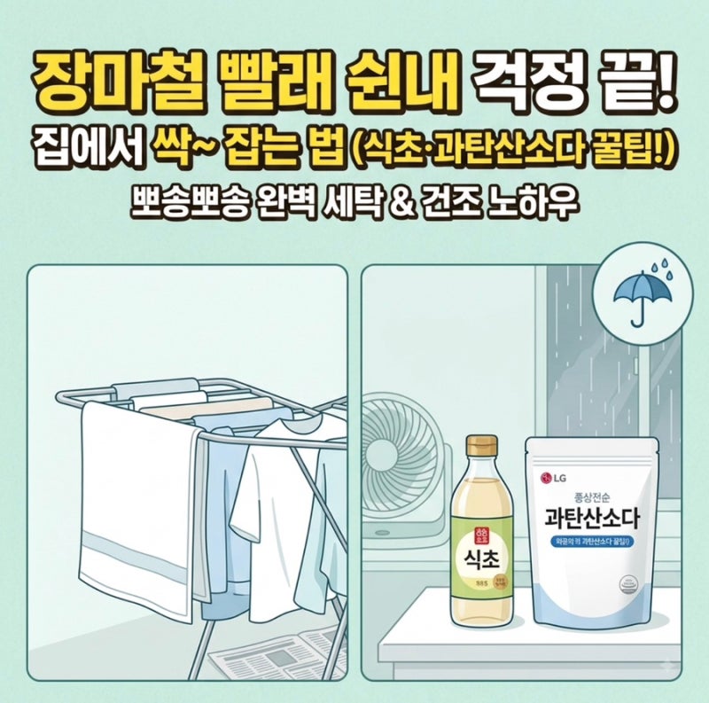 장마철 빨래 쉰내 원인과 완벽 제거법! 식초·과탄산소다 세탁 꿀팁