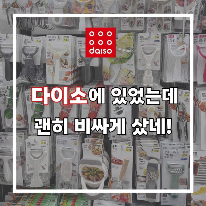 '이거' 괜히 비싸게 샀네! 다이소 추천 주방 살림템 채칼 다지기 종류 품번 정리