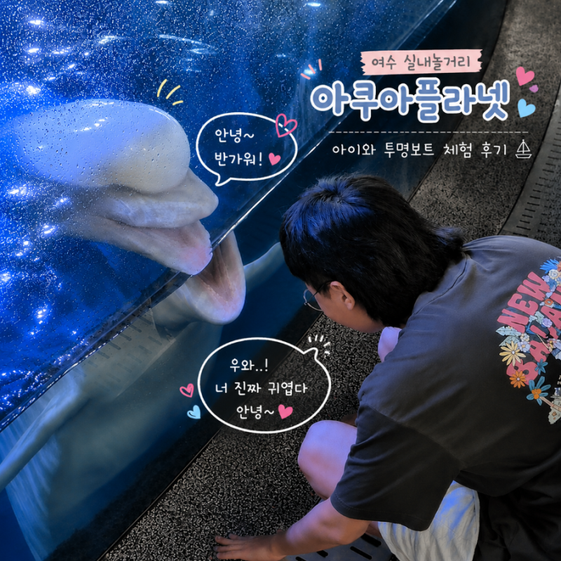 여수 실내놀거리 아쿠아플라넷 | 아이와 투명보트 체험 후기