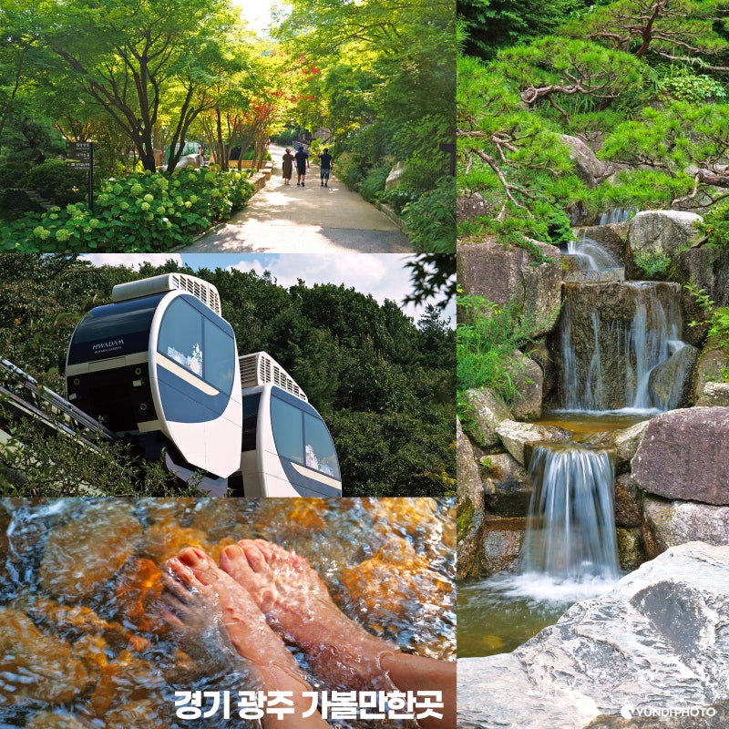 경기 광주 가볼만한곳 곤지암 화담숲 입장료 운영시간 모노레일 예약 할인