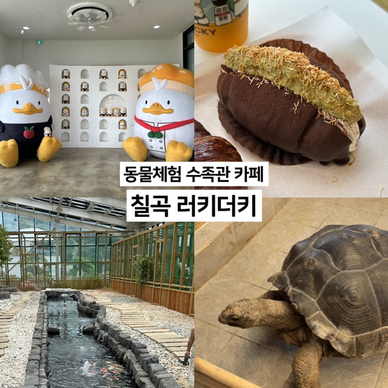 칠곡 러키더키 대형카페 대구 근교 실내 동물체험 수족관 카페
