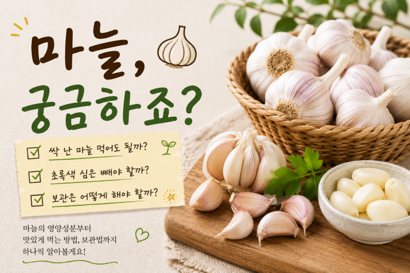 싹 난 마늘 먹어도 될까? 초록색 심은 빼야 할까?
