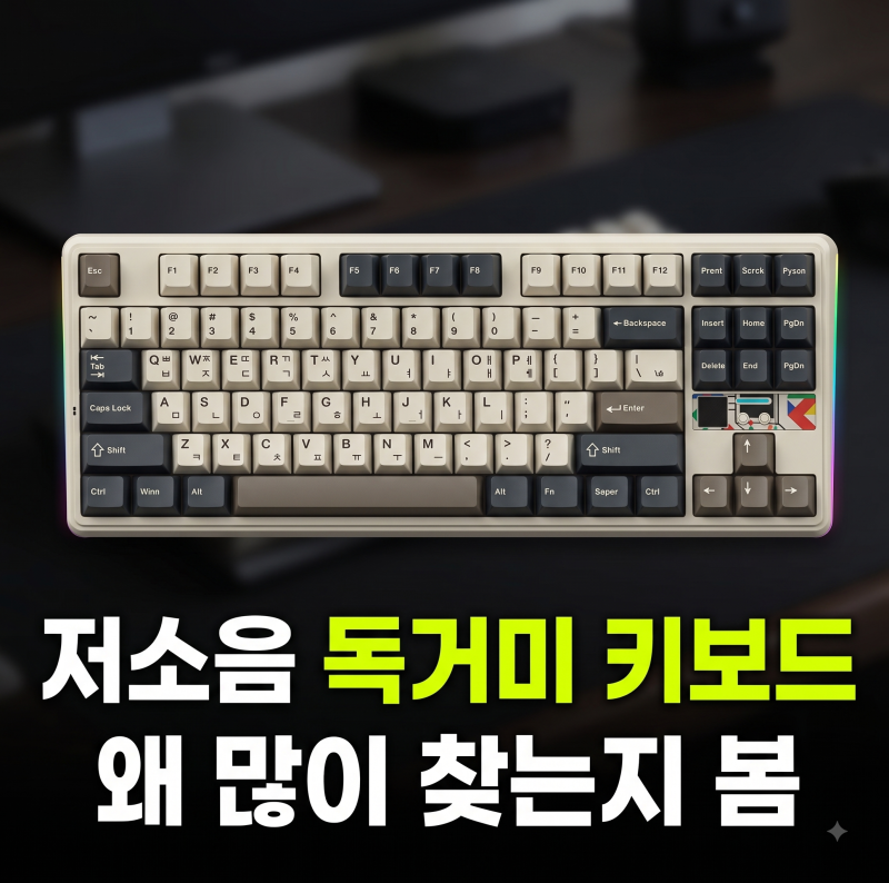 AULA F87Pro V2 독거미 키보드 저소음 바다축 정품 비교 추천