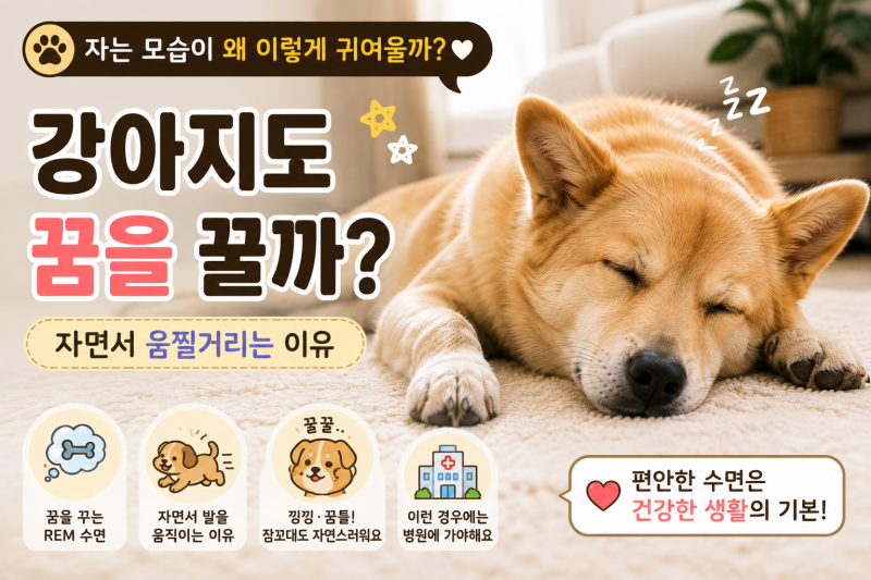 강아지가 자면서 움직이는 이유, 정말 꿈을 꾸는 걸까?