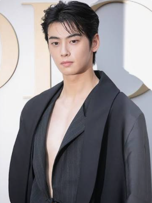 여신강림 배우 차은우 성공스토리는? 어떻게 ‘얼굴 천재’에서 톱스타가 됐을까｜차은우 ....