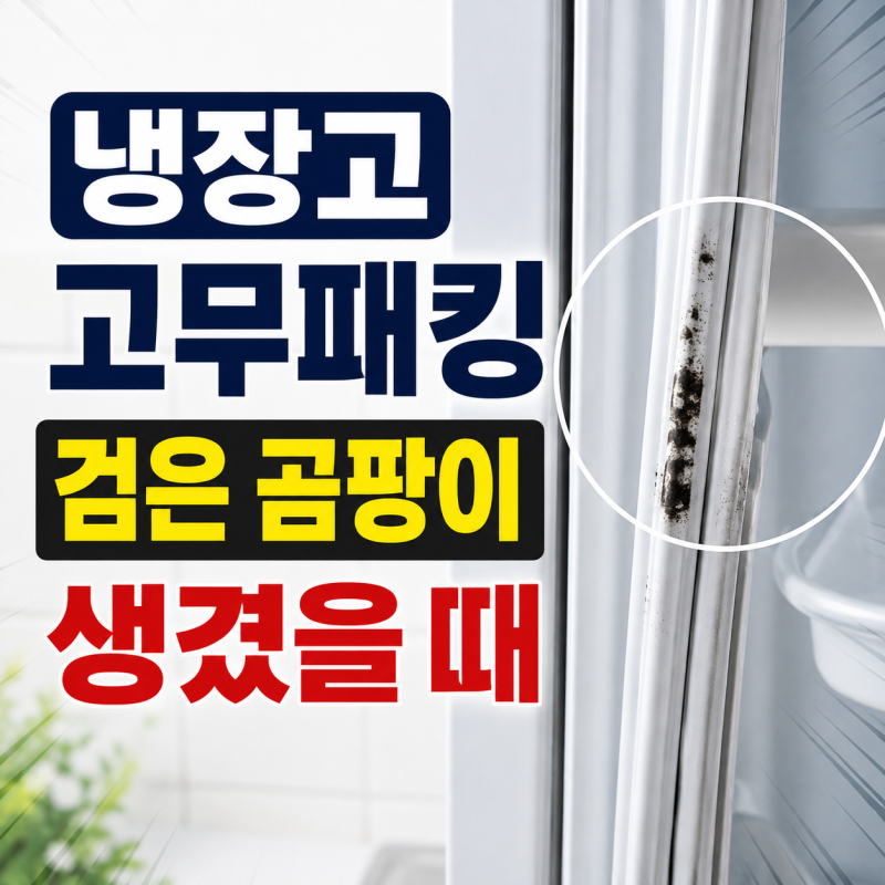 냉장고 고무패킹 청소, 검은 곰팡이 생겼을 때 어떻게 닦을까?