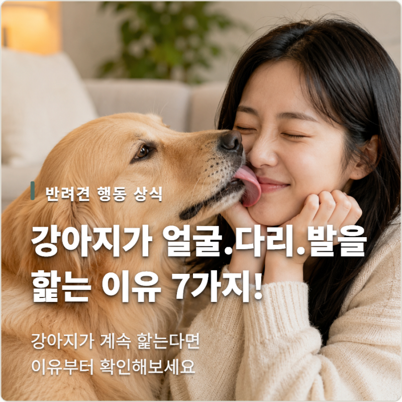 강아지가 핥는 이유 7가지! 얼굴·다리·발 계속 핥는다면