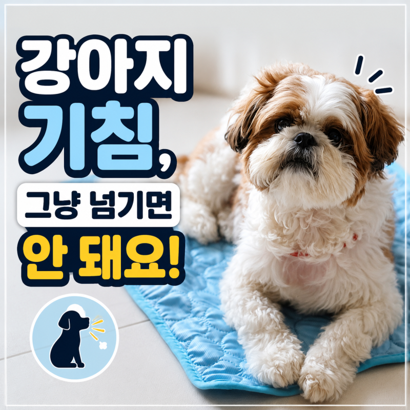 강아지 기침, 전염성 기관지염 켄넬코프 주의!