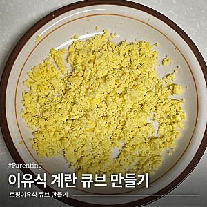 [이유식] 초기이유식 계란 큐브만들기! 흰자 노른자 알러지테스트