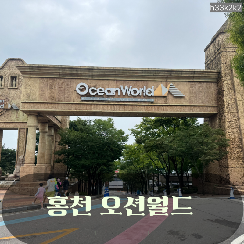 8월 물놀이 홍천 비발디파크 오션월드 워터파크 실외라커 오션패스 할인 가격 셔틀 준비물 ....