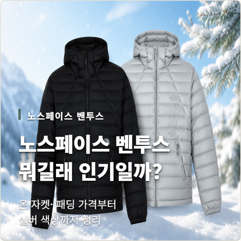 노스페이스 벤투스 뭐길래? 온 자켓·패딩 가격부터 실버 색상까지