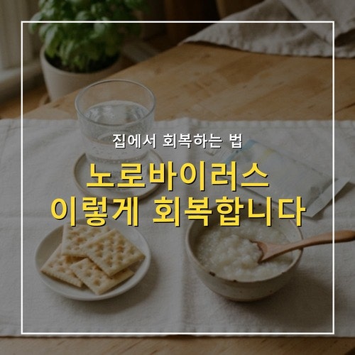 노로바이러스 집에서 회복할 때 꼭 지켜야 할 것들