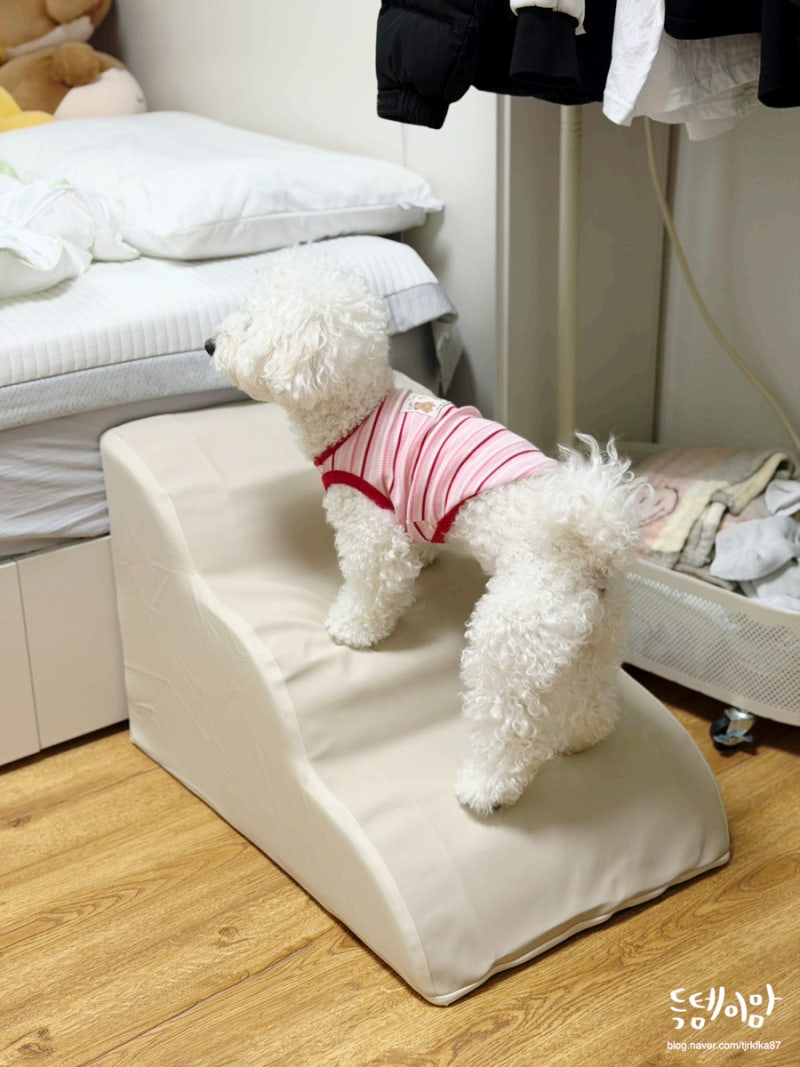 강아지 계단 추천 점프가 걱정돼 선택한 논슬립 강아지 계단 3단 후기