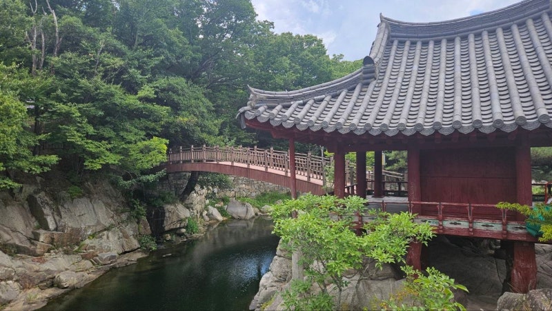 가을이 더 아름다운 함양 선비문화 명승지 드라이브 코스