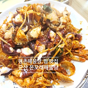 (내돈내산) 평촌학원가 맛집 군산 은모래해물탕 아구찜 안양평촌점 평촌 해물탕 해물찜