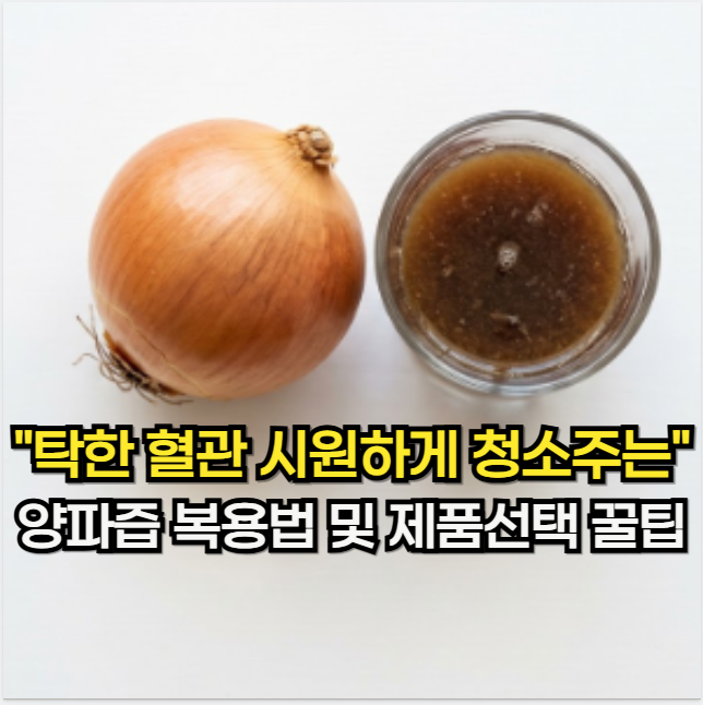 양파즙 효능, "탁한 혈관 청소해 주는" 양파즙 복용법 및 제품 선택 꿀팁