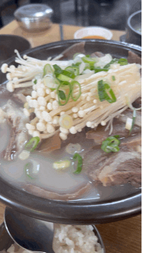 대전 선화동 맛집 선화동소머리해장국｜주말 웨이팅·소머리곰탕 수육 후기