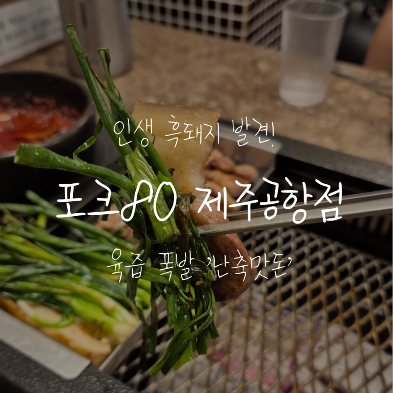 [제주도 흑돼지] 육즙 폭발 난축맛돈 숯불구이 전문점 포크80 제주공항점 방문기! (제주시 맛....
