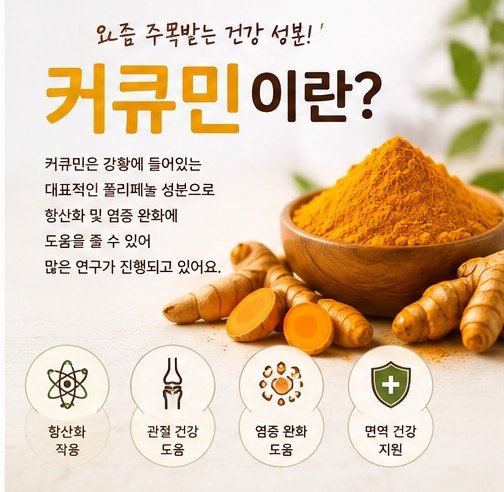 커큐민 효능 총정리! 복용방법·영양제 고르는 법까지