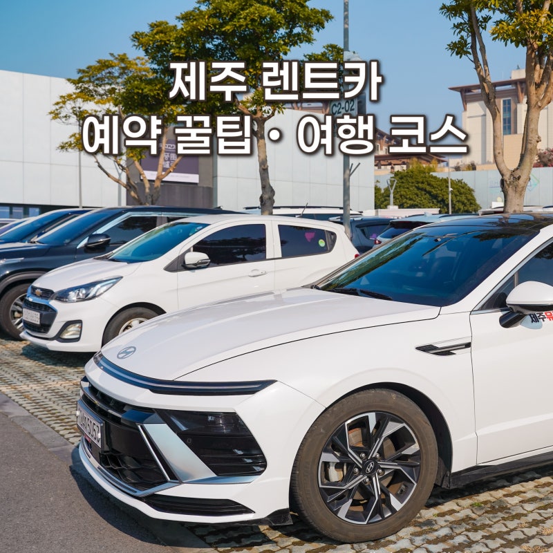 제주 렌트카 제주도 렌터카 추천 자차 렌트 예약