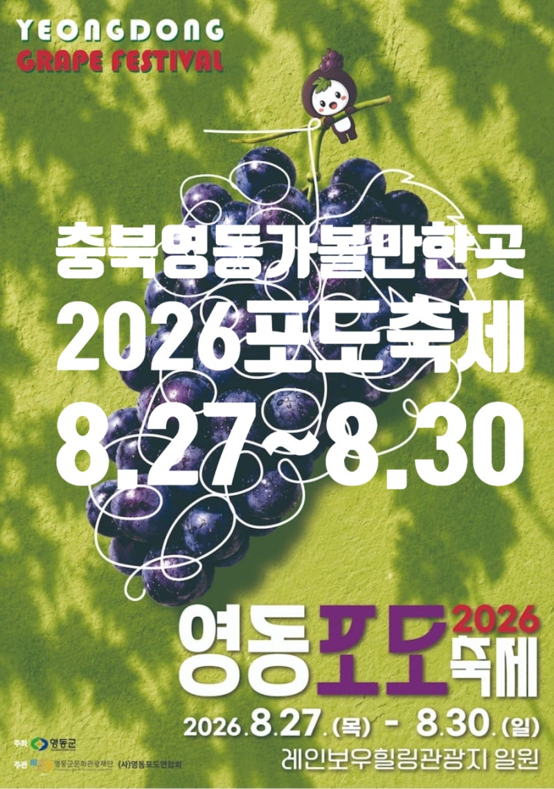충북 영동 포도 축제 2026 일정부터 포도 따기 체험까지, 영동 가볼 만한 곳