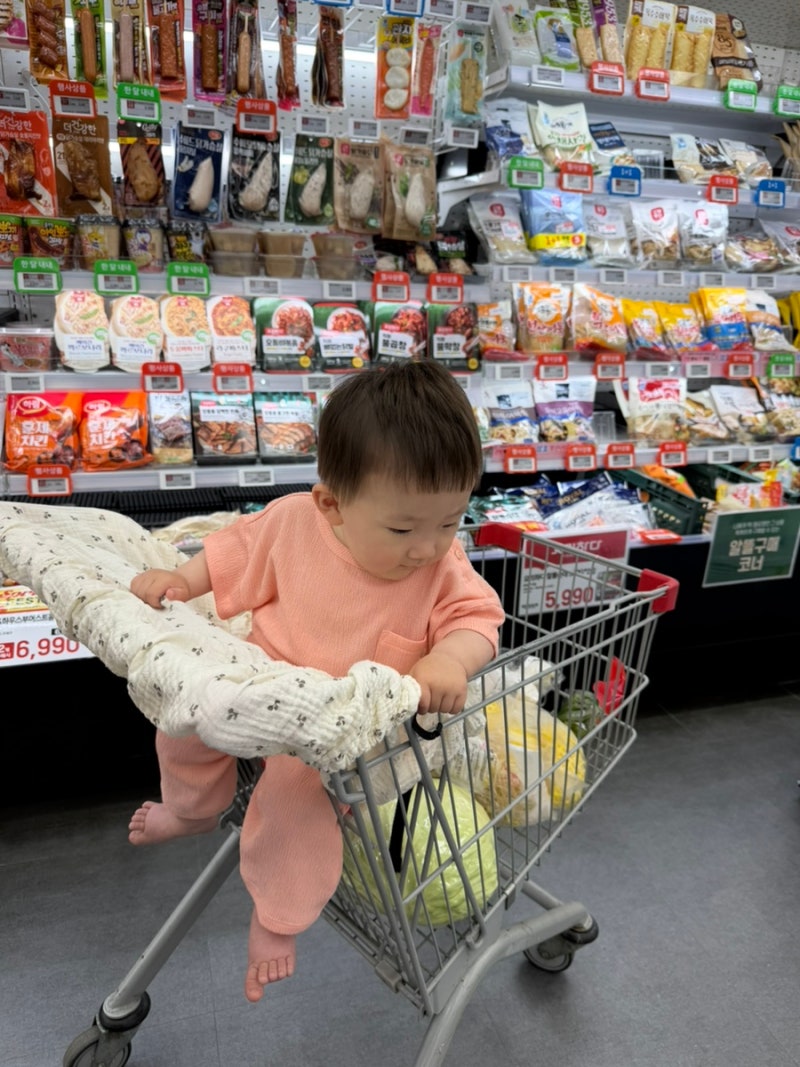아기 쇼핑 카트 언제부터 타야 할까? 탑승 시기와 안전 꿀팁 총정리!