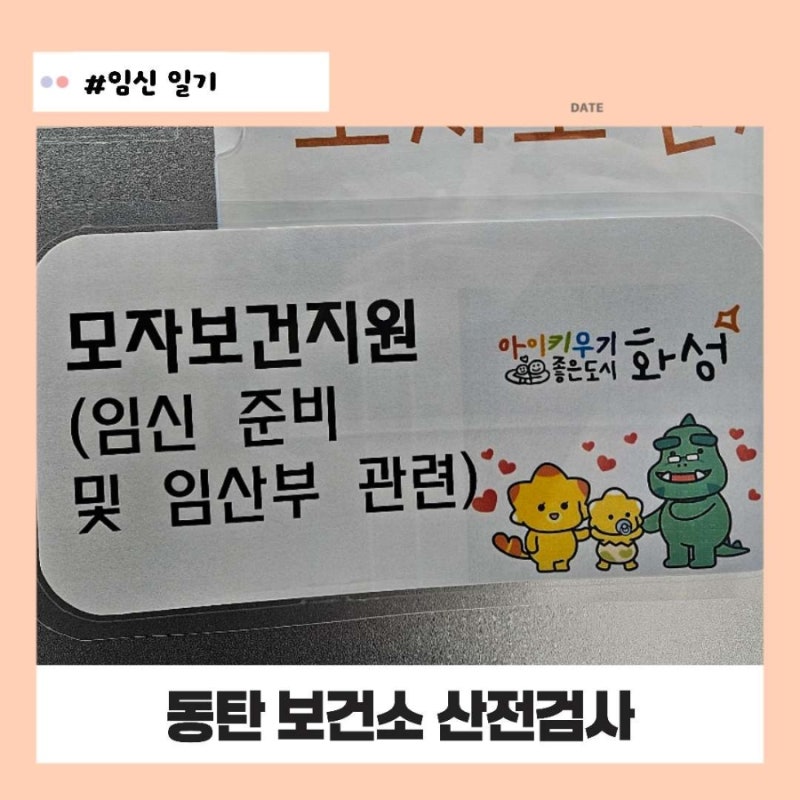 임신준비 필수 사전검사 동탄 보건소 산전검사 예약 준비 후기