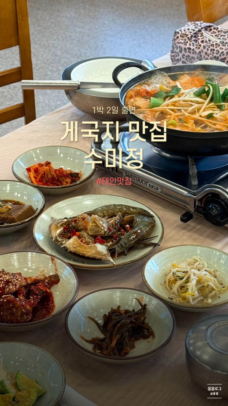 태안 안면도 게국지 맛집 한가인도 인정한 수미정에서 게국지 세트메뉴 먹은 솔직 후기