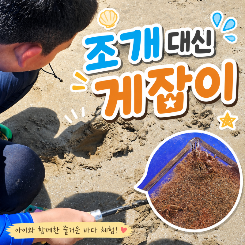 부산 다대포해수욕장 갯벌 아이와 가보니 게가 정말 많았어요