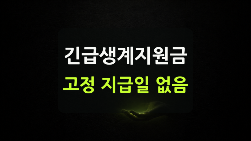 긴급생계지원금지급일 확인방법, 현장확인 뒤 2일 내 결정·지급