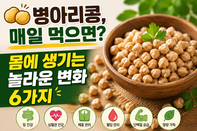 병아리콩 효능 6가지｜칼로리부터 삶기·샐러드·콩국수·두유·간식까지 총정리