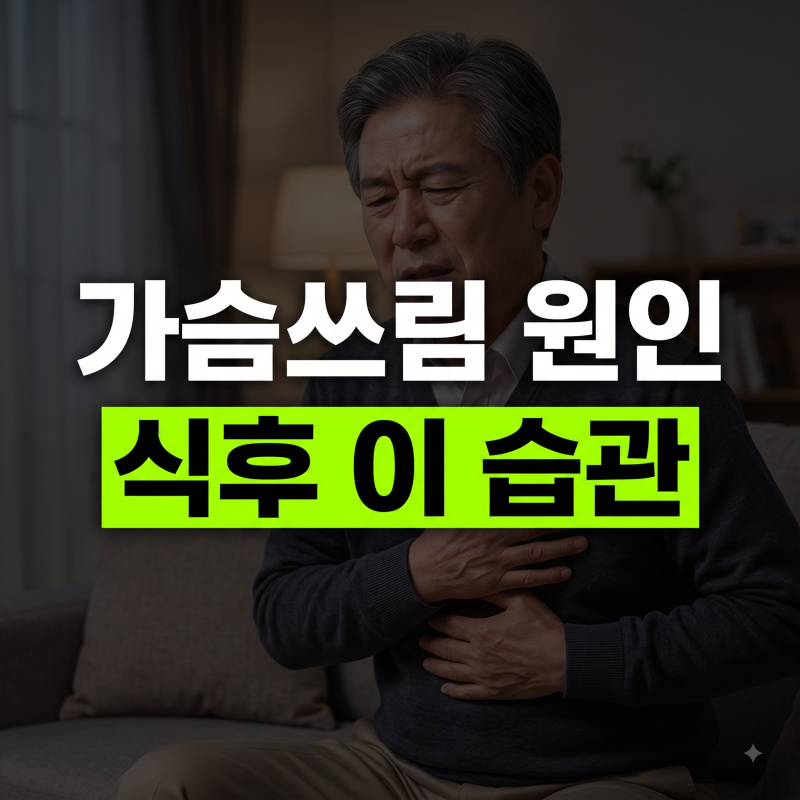 가슴 쓰리고 목에 이물감까지 — 역류성식도염 증상·원인·약·식이요법 완벽 총정리