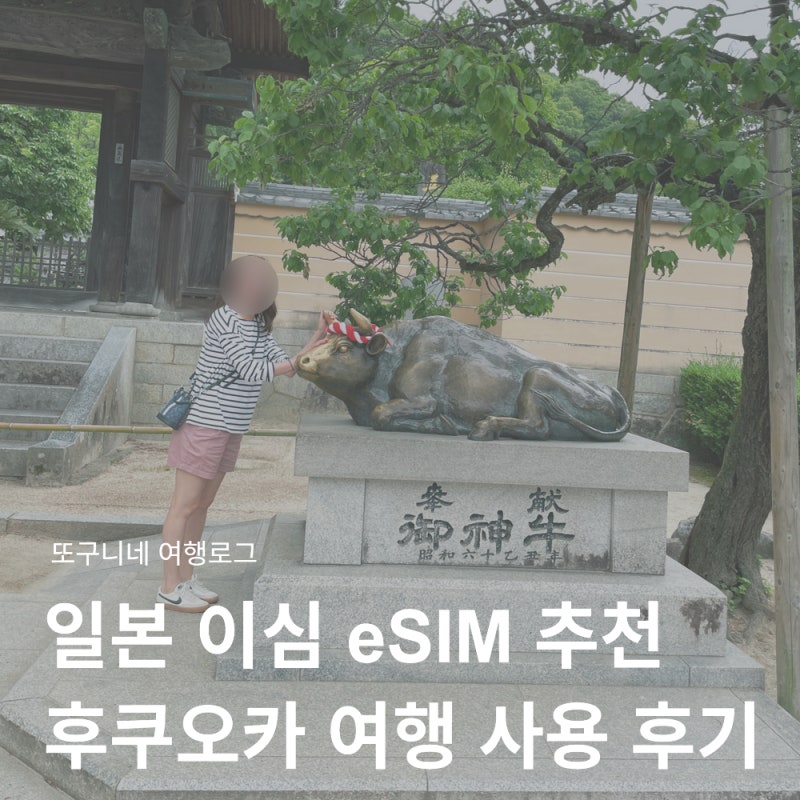 일본 이심 eSIM 추천! 후쿠오카 여행 3박4일 데이터 사용 후기
