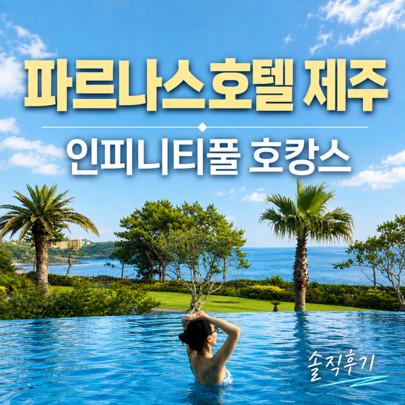 파르나스 제주 호텔 수영장 후기｜인피니티풀·객실 호캉스 솔직후기