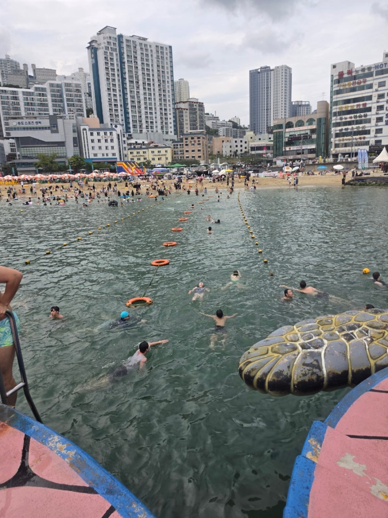 부산 송도해수욕장 다이빙대에서 짜릿하게! 직접 수영해서 다이빙하고 온 후기