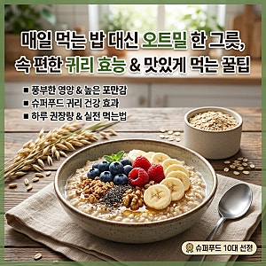 귀리 효능과 부작용, 오트밀 하루 섭취량 및 건강하게 먹는법 총정리
