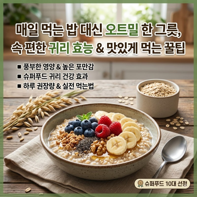 귀리 효능과 부작용, 오트밀 하루 섭취량 및 건강하게 먹는법 총정리