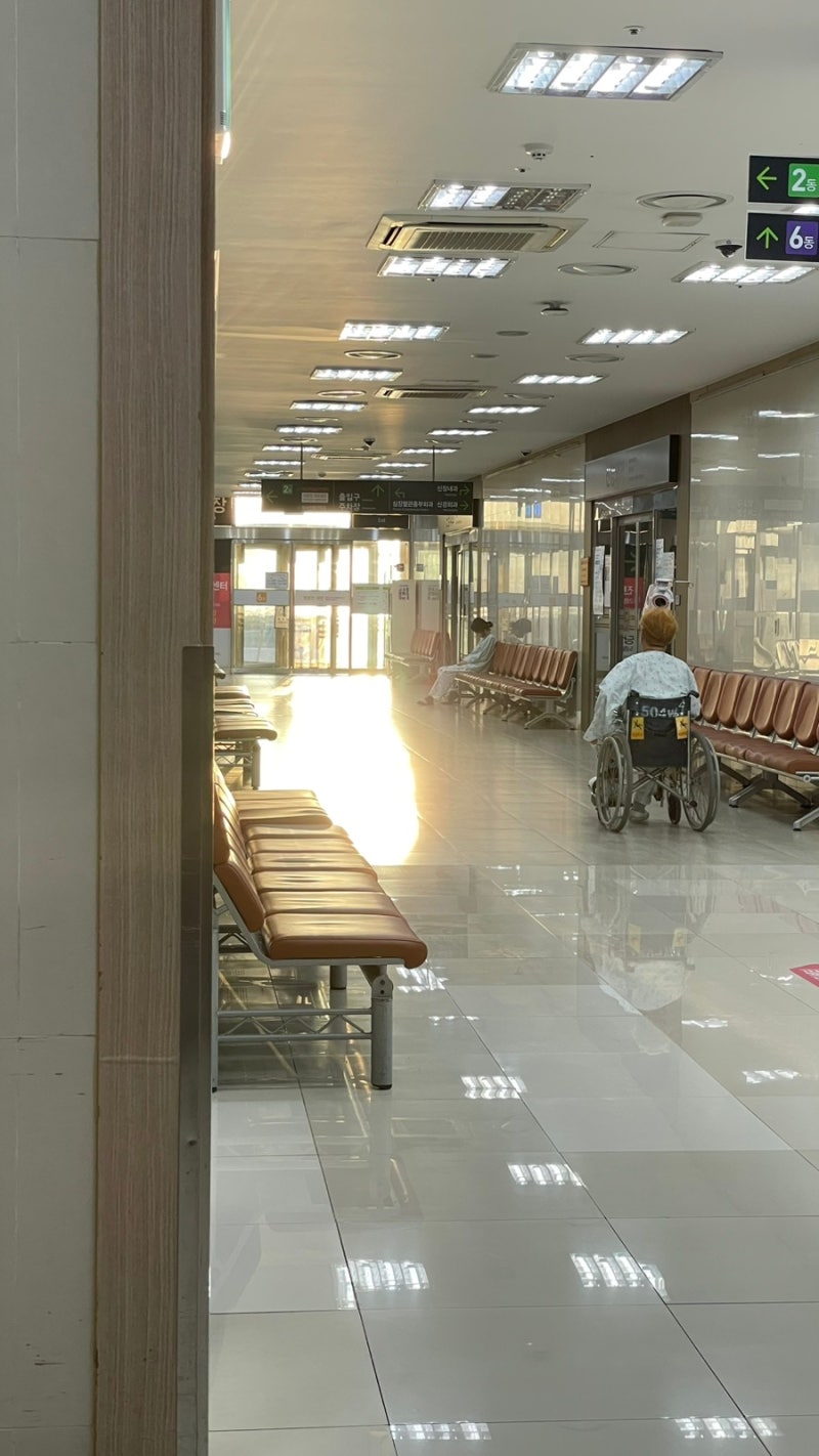 쓸개를 제거했다: 로봇 단일공 담낭절제술 후기