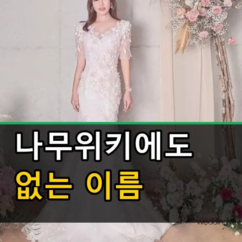 송가인 예비신랑 진짜 누구? 나무위키도 몰랐던 이야기