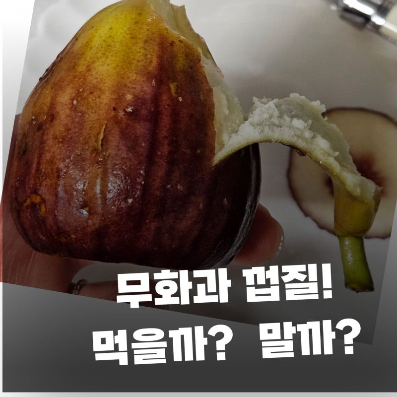 "무화과 저렴해진 이유?" 효능과 세척, 먹는 방법 (고르는 꿀팁)