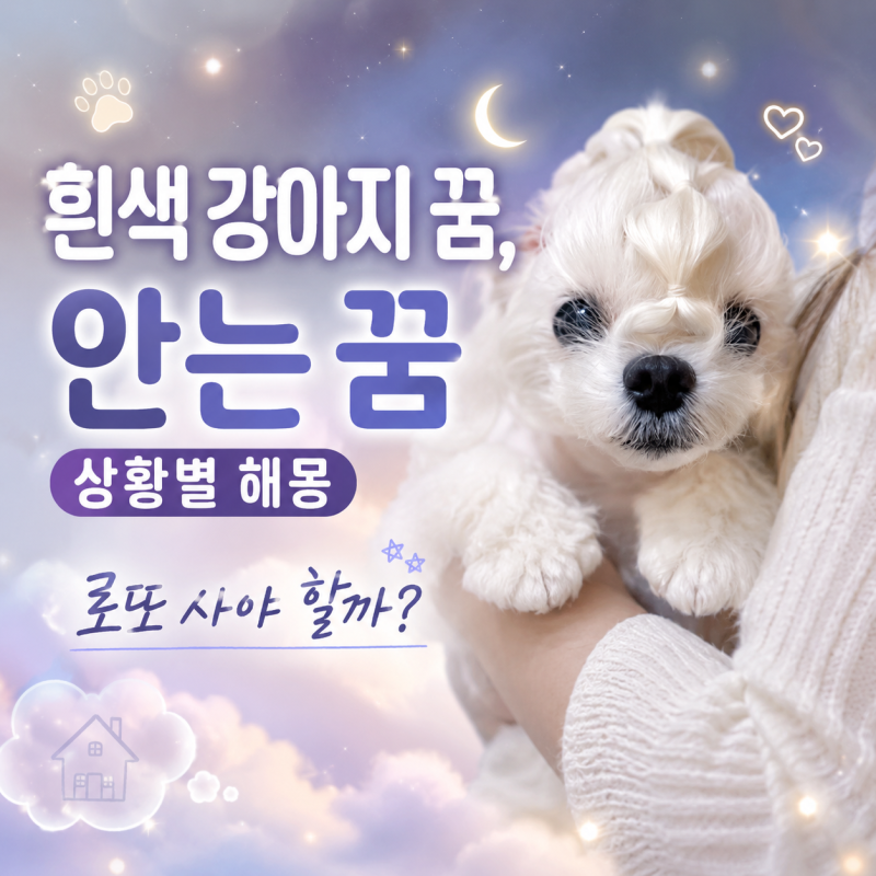 흰색 강아지 꿈, 안는 꿈 상황별 해몽 로또 사야 할까?