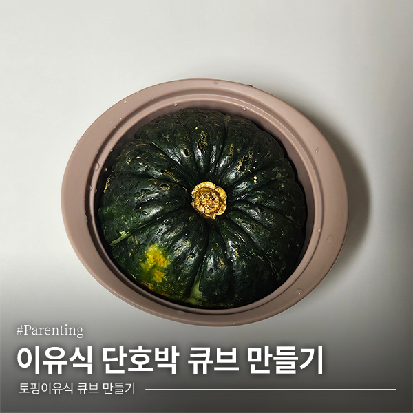 [이유식] 초기이유식 단호박 큐브 만들기 (퍼기 찜기)