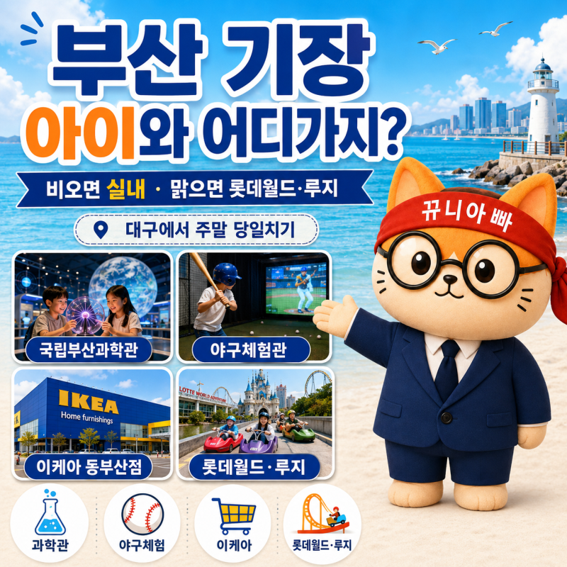 대구 근교 부산 기장 아이와 가볼만한곳｜비오는날 실내부터 롯데월드·루지까지