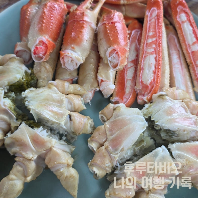[영덕 여행] 영덕 강구항 풍물어시장 대게 대구 횟집