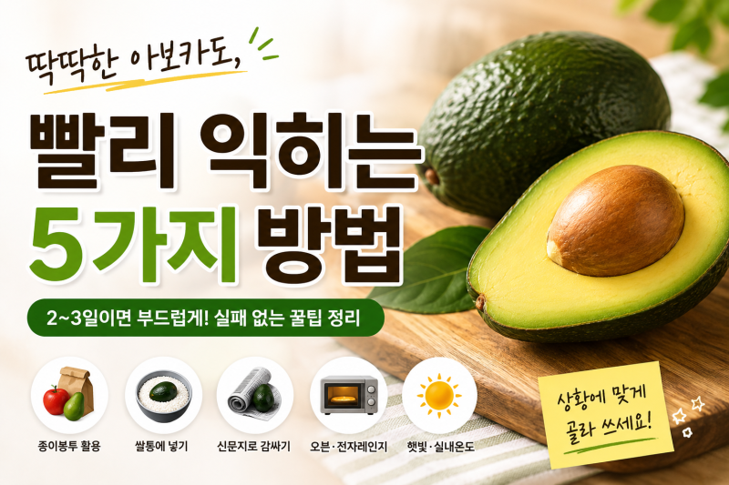 덜 익은 아보카도 빨리 익히는 방법 5가지｜딱딱한 아보카도 맛있게 익히기