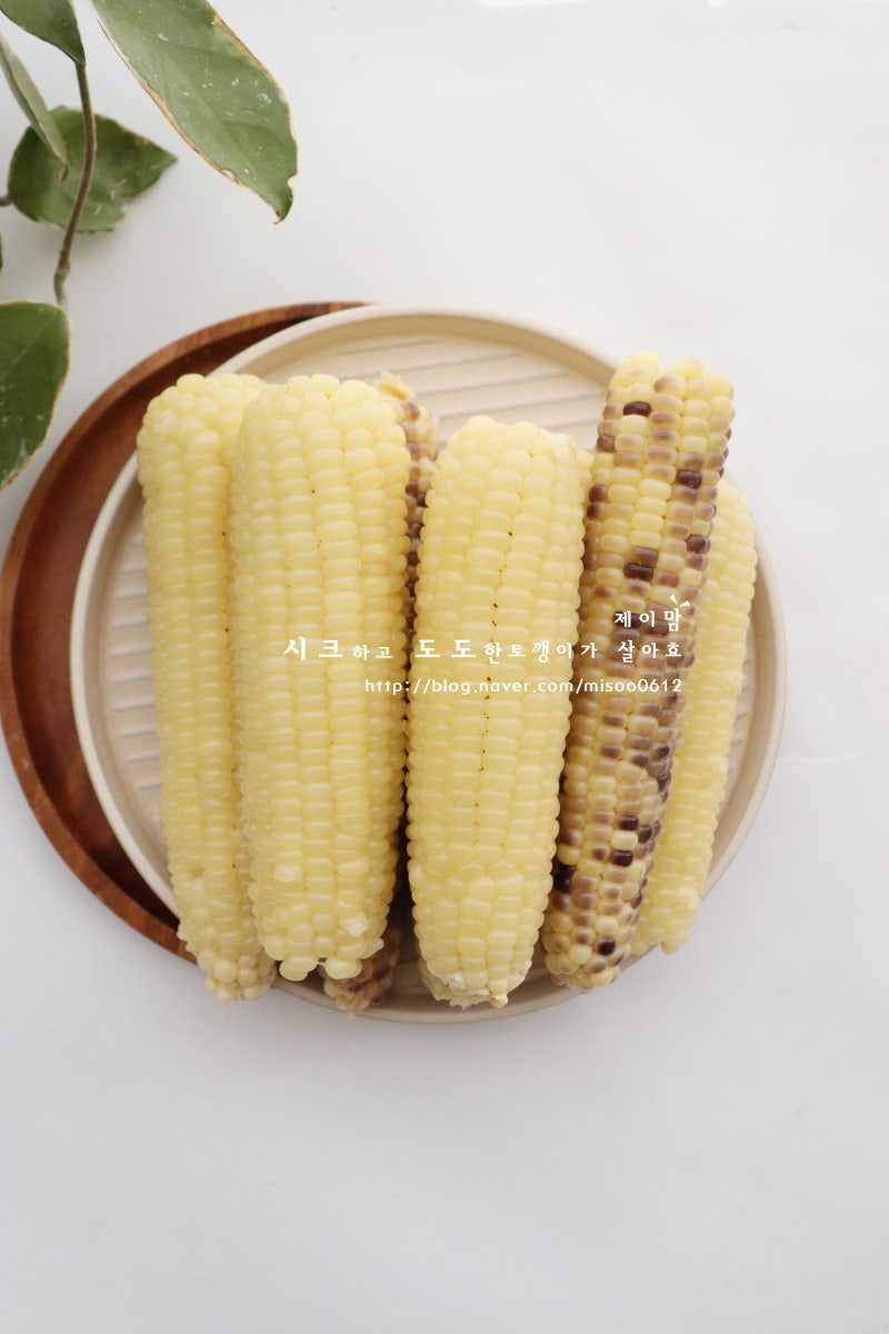 옥수수 삶는법 삶는시간 몇 분? 냉동 옥수수 맛있게 삶는방법