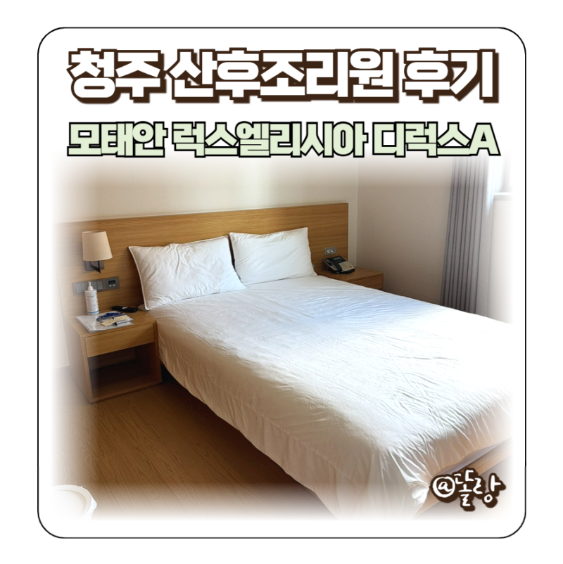 청주 모태안 산후조리원 럭스엘리시아 후기 디럭스A룸 장단점 가격 대비 만족도