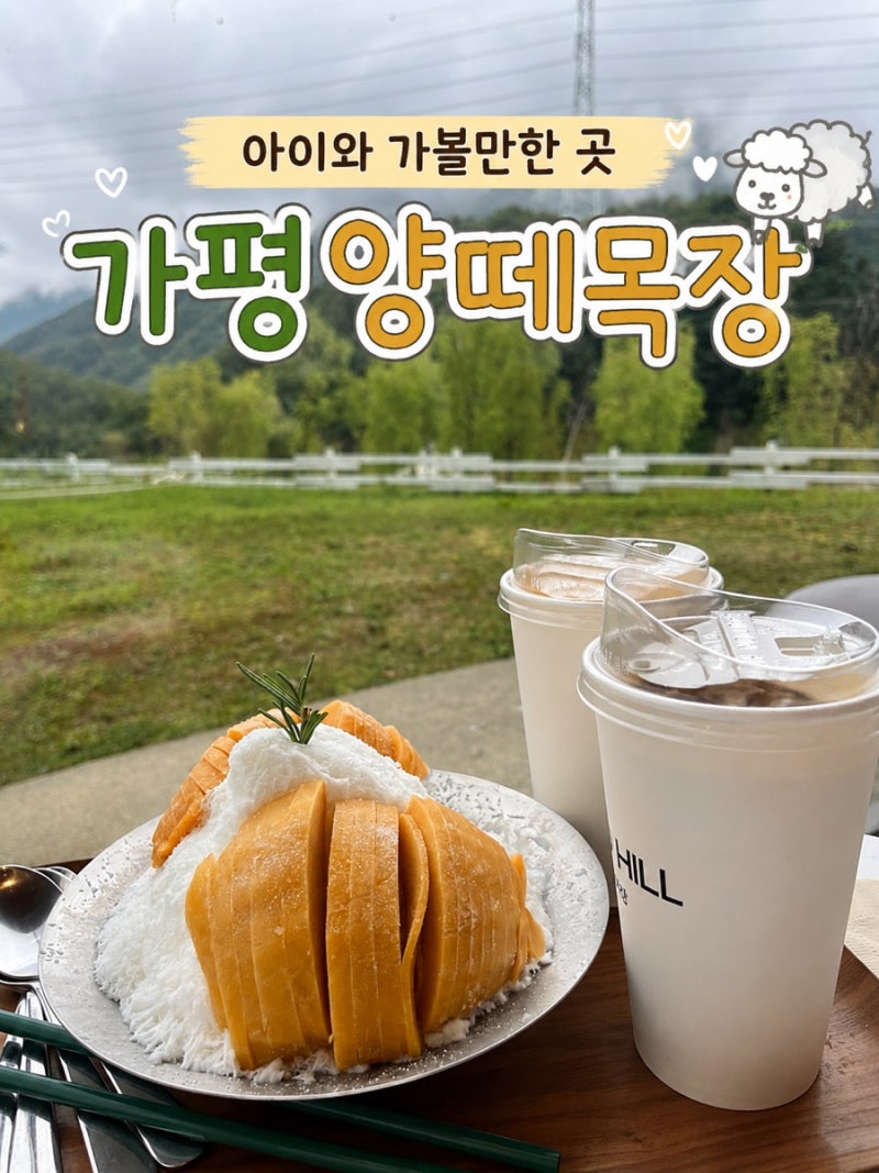 가평 양떼목장 아이와 가볼 만한 곳 클라우드힐 카페