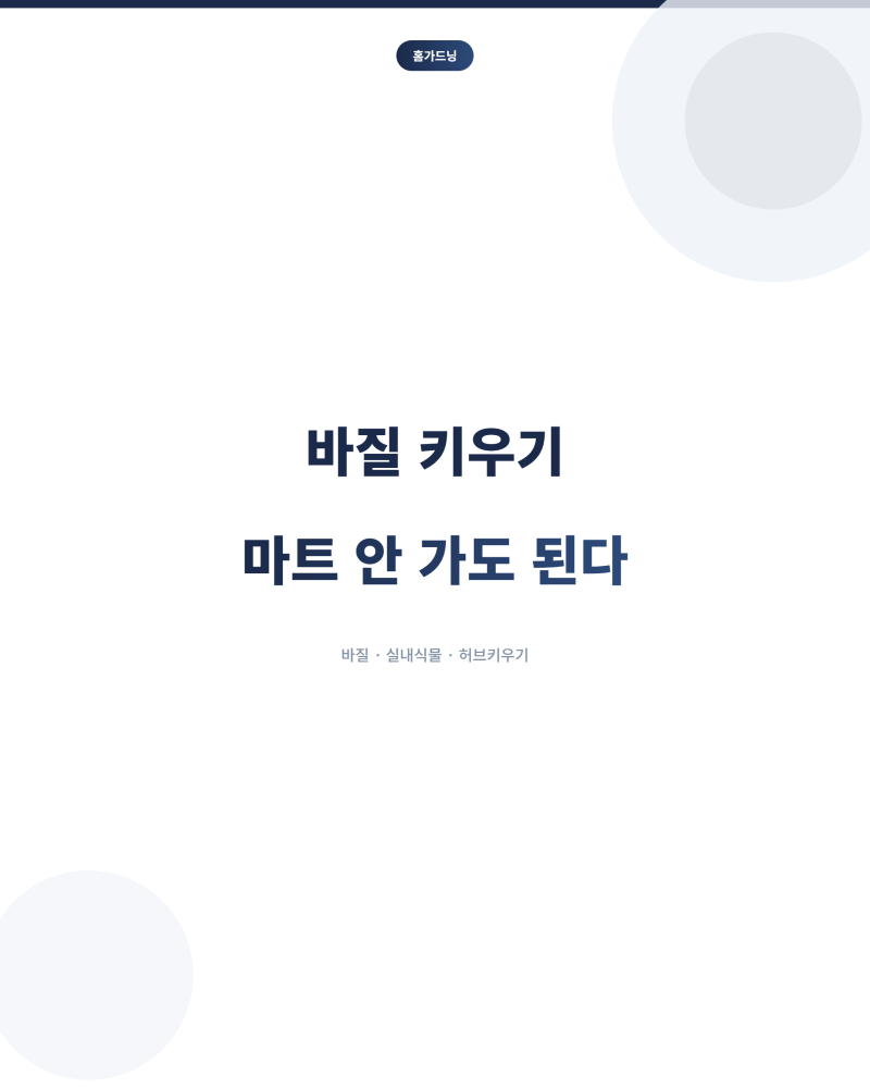 바질 키우기, 이렇게 하면 마트 안 가도 된다